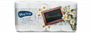 Big Soft Camomile