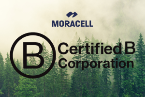 JSME CERTIFIKOVÁNI JAKO B-corp!